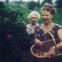 My great-grandmother, Oma, my grandmother,Omi, gathering farm peaches n the '40s.