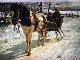 Mom, and my brother Rob, in his coon skin cap, out for a sleigh ride on the farm in 1955.